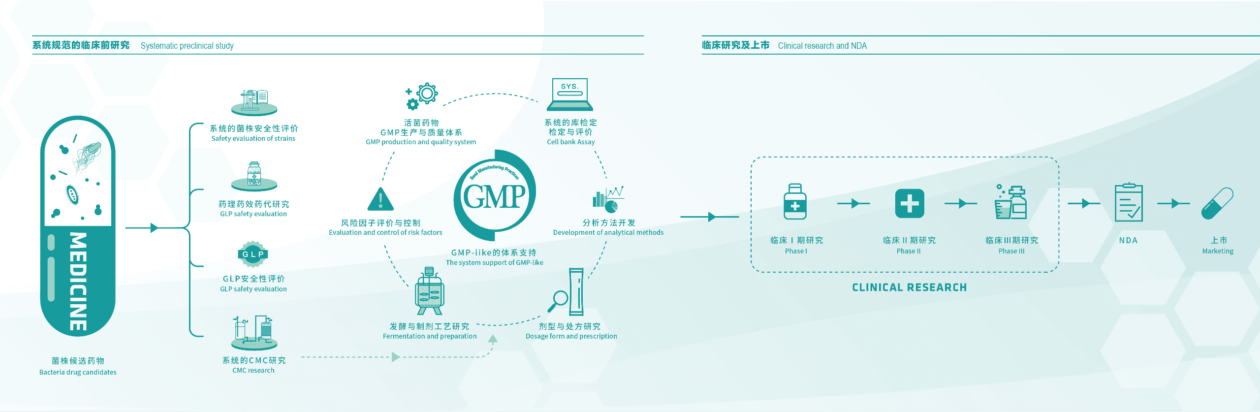 完整的从菌株到药物的研发体系