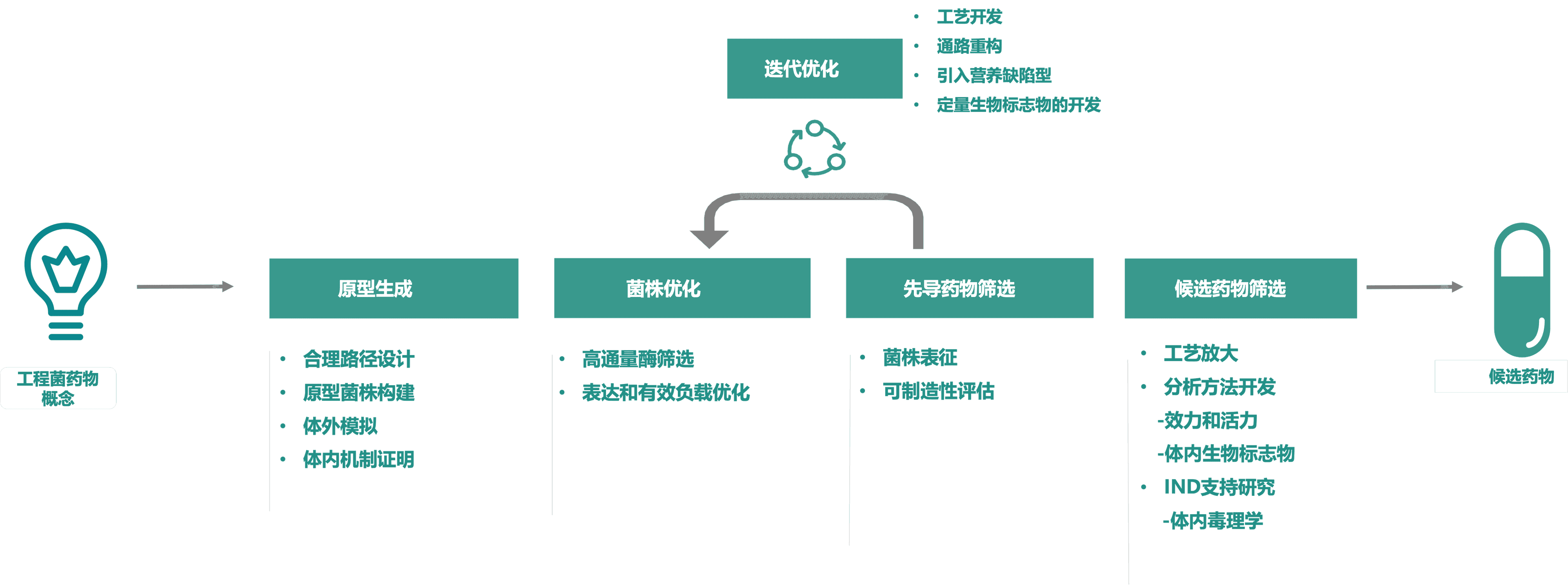 工程菌构建与评价