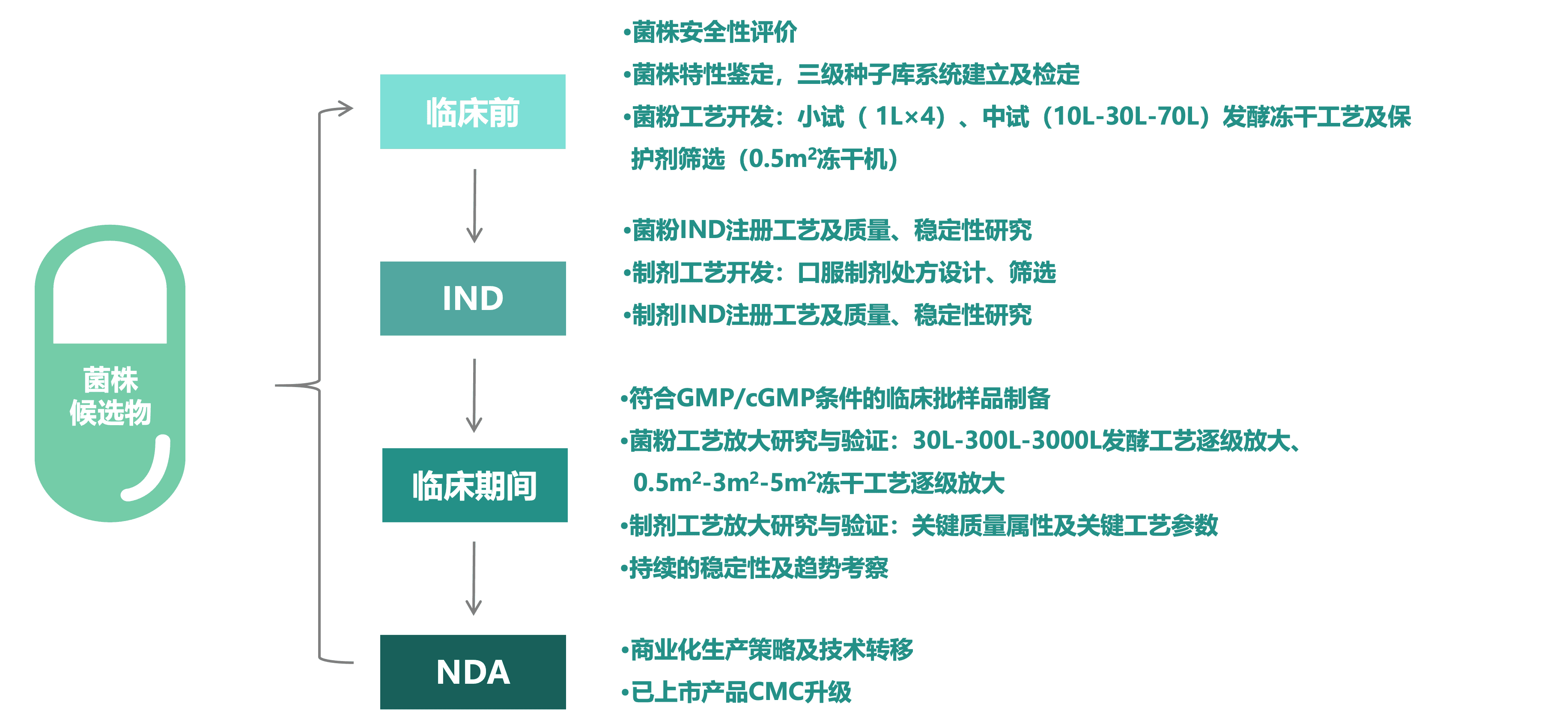 zhiyi-material-process